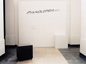 Pyknolepsia 25/01